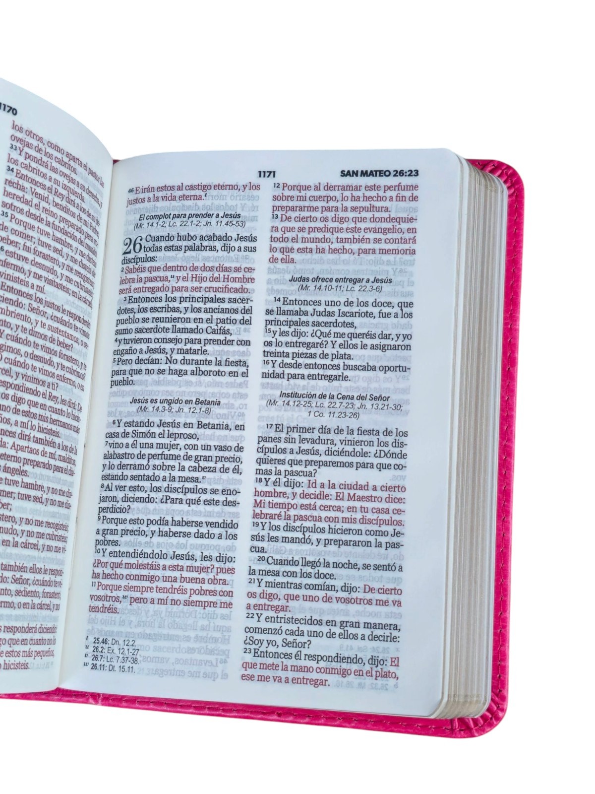Biblia de Bolsillo RVR,1960 imitacion piel Color fucsia