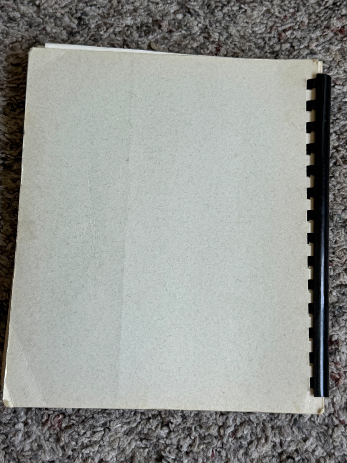 St. Francis de Sales Schoolcraft Catholic Church Madison, NE Recipe Book 1987