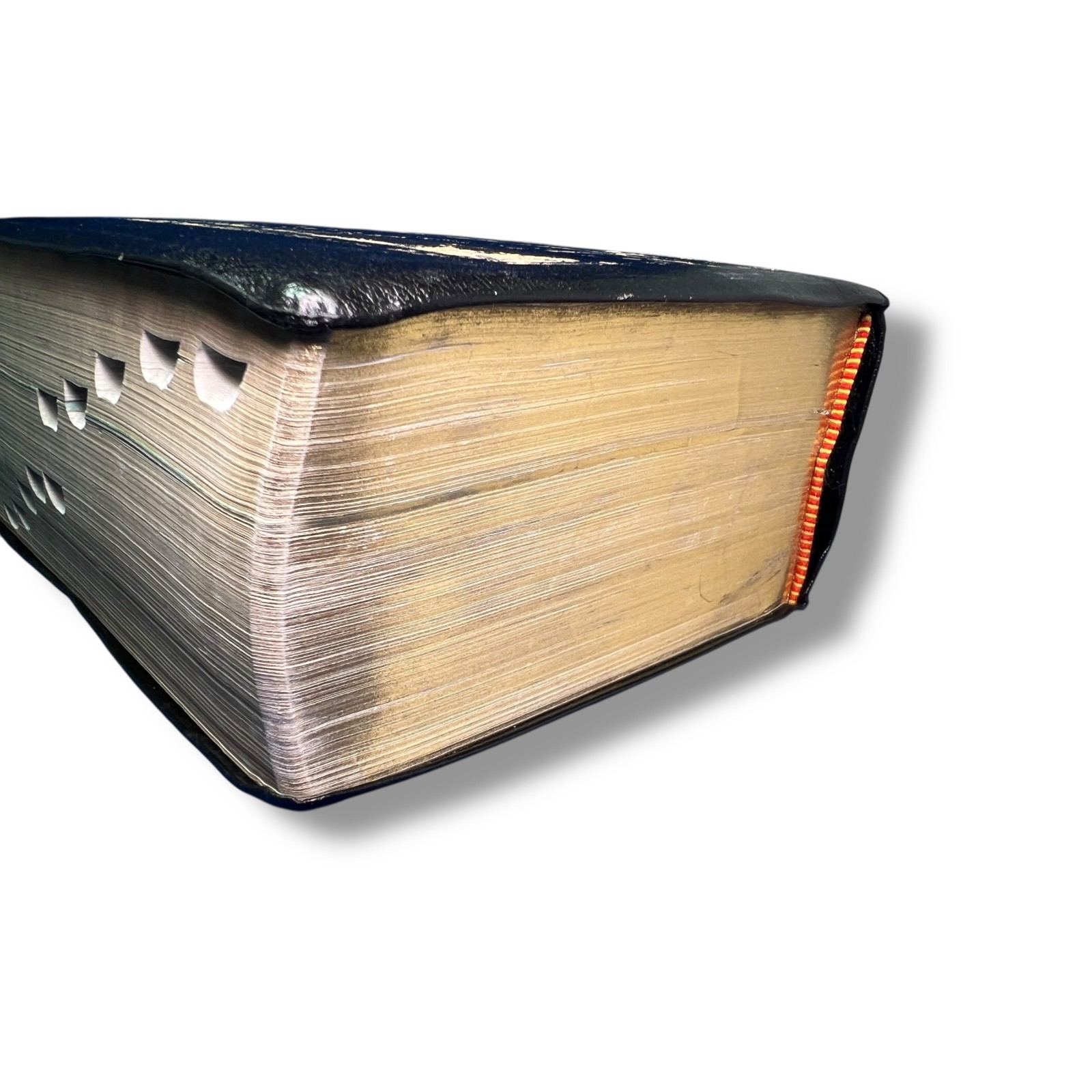 LDS Quad Scriptures Book Of Mormon Bible Blue 9.25″x6″x4″ Doctrine & Covenants