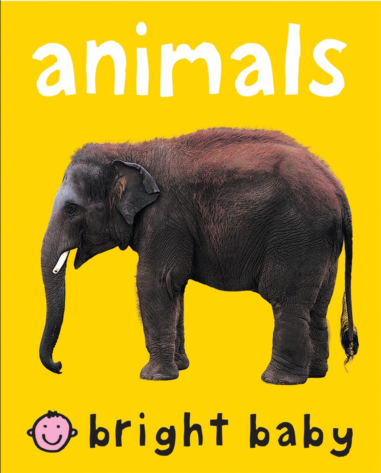 Bright Baby Animals LARGE: for slipcase
