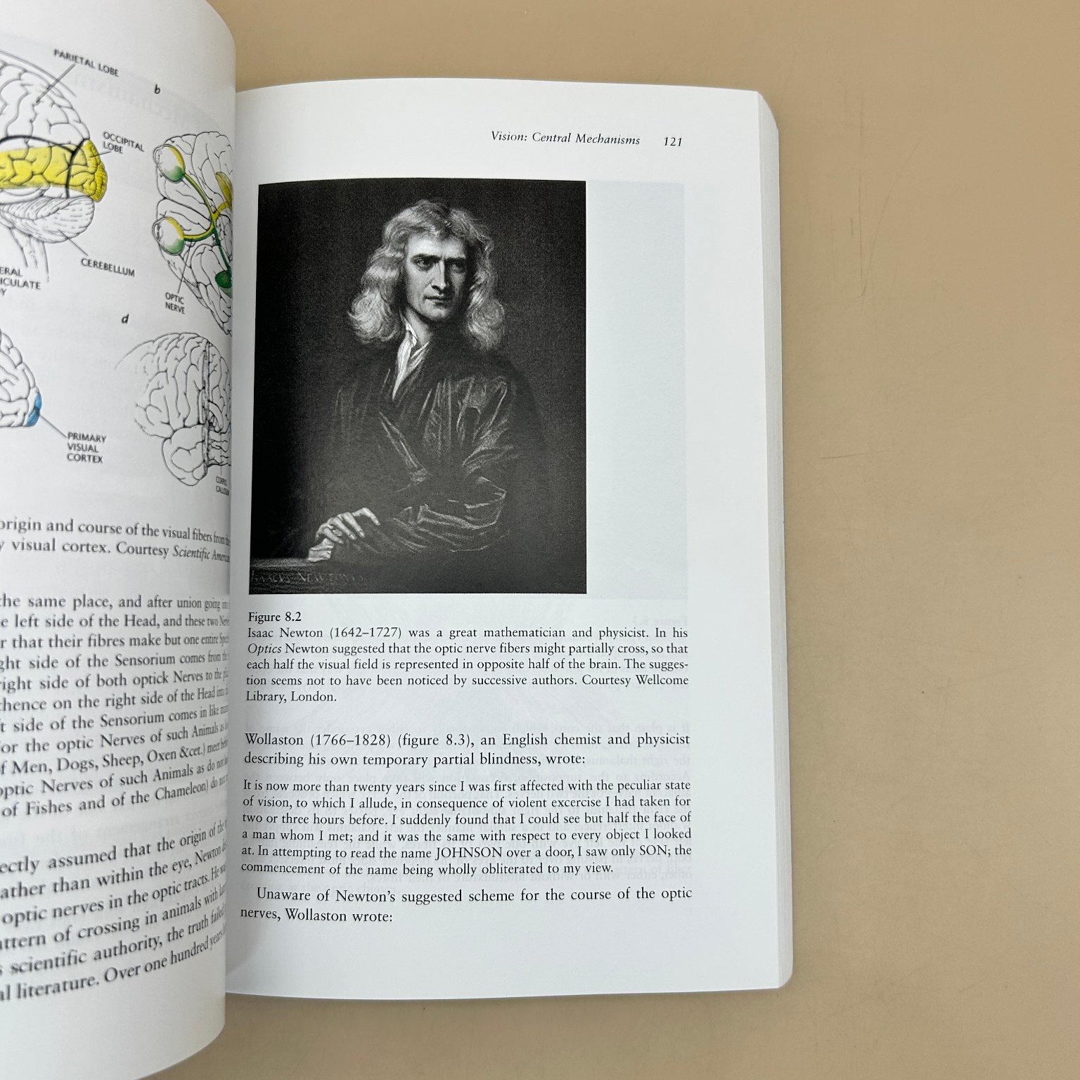 Neuroscience Historical Introduction Glickstein 2017 MIT Press Paperback
