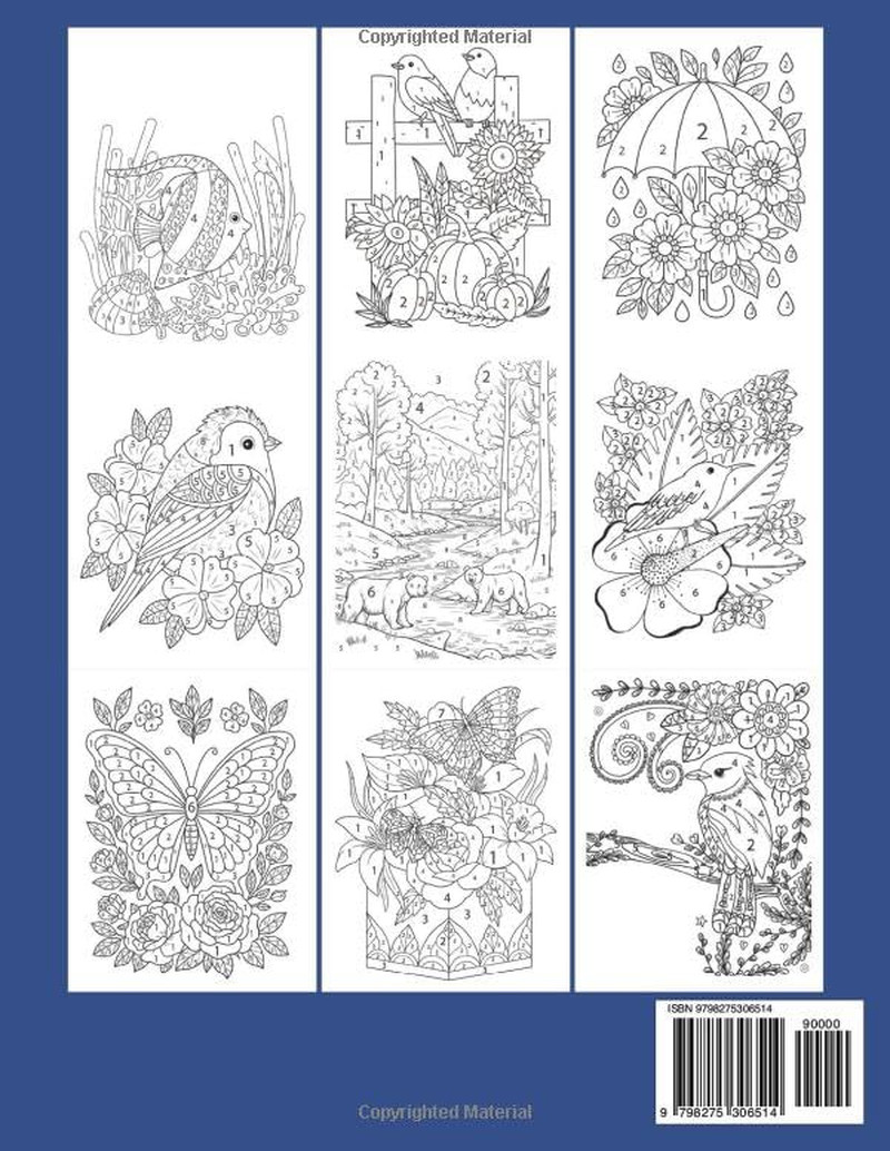 100 Pages Color By Number Adult Coloring Book: Easy Large Print Color By Number