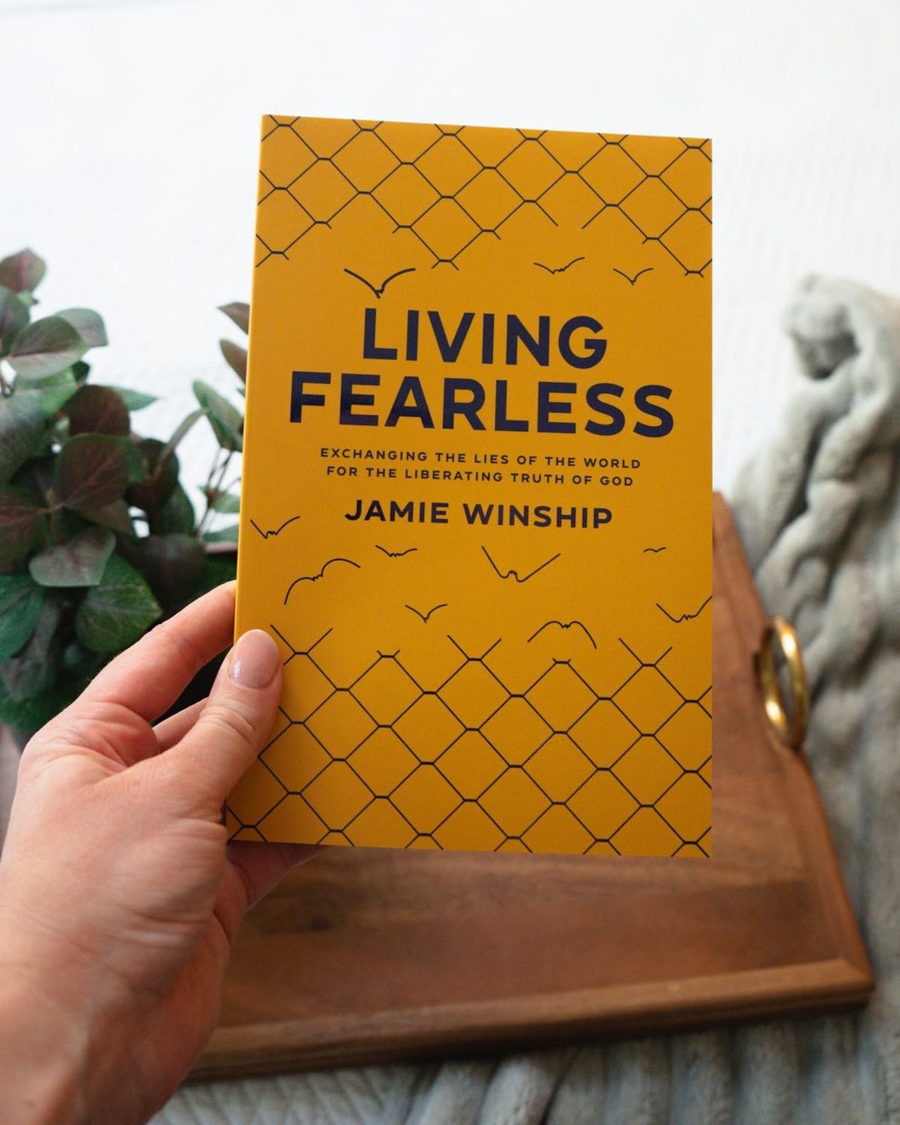Living Fearless Christian Book on Faith, Truth of God and Spiritual Growth