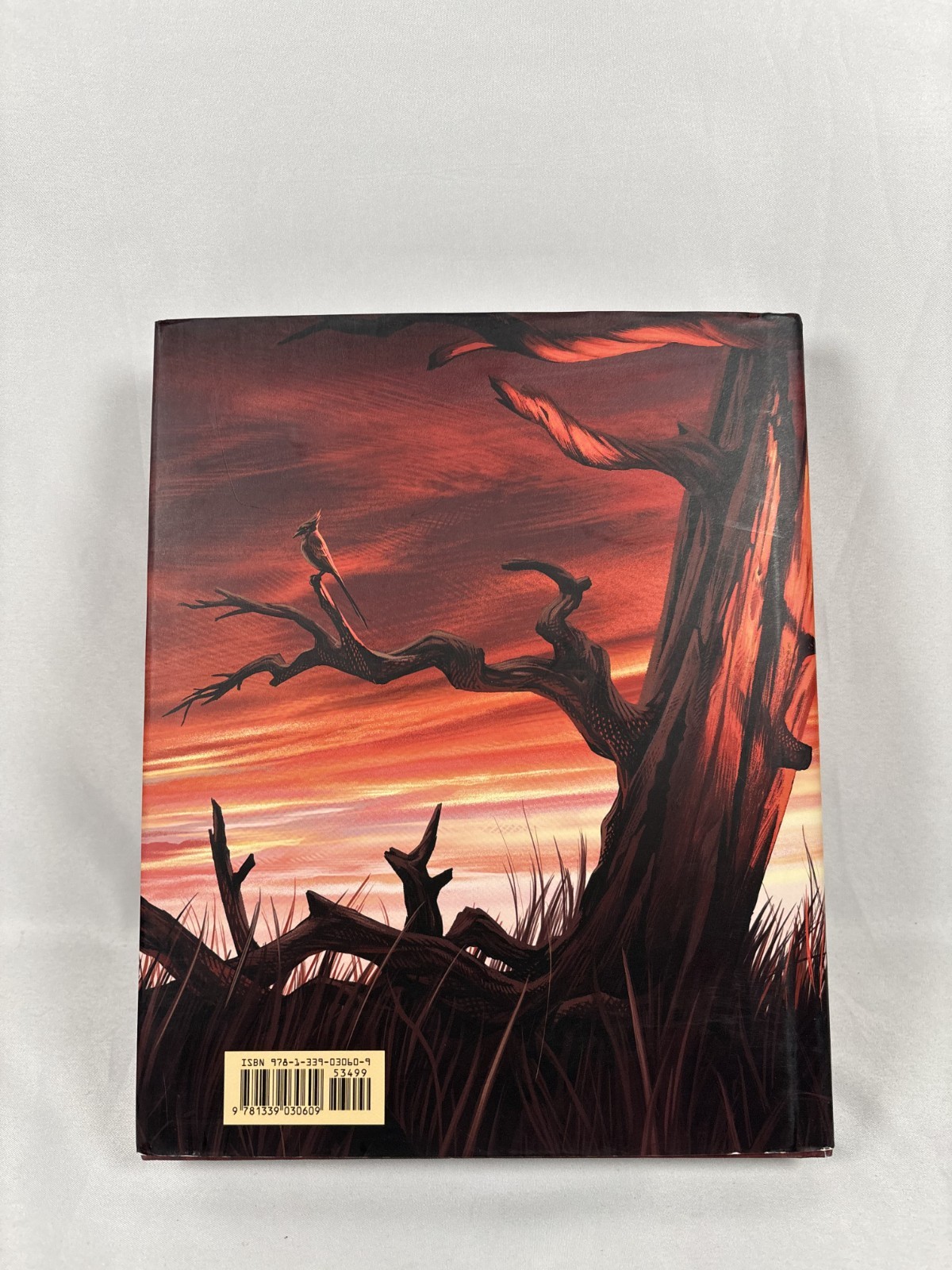 Hardcover The Hunger Games: Illustrated Edition By Suzanne Collins & Nico Delort