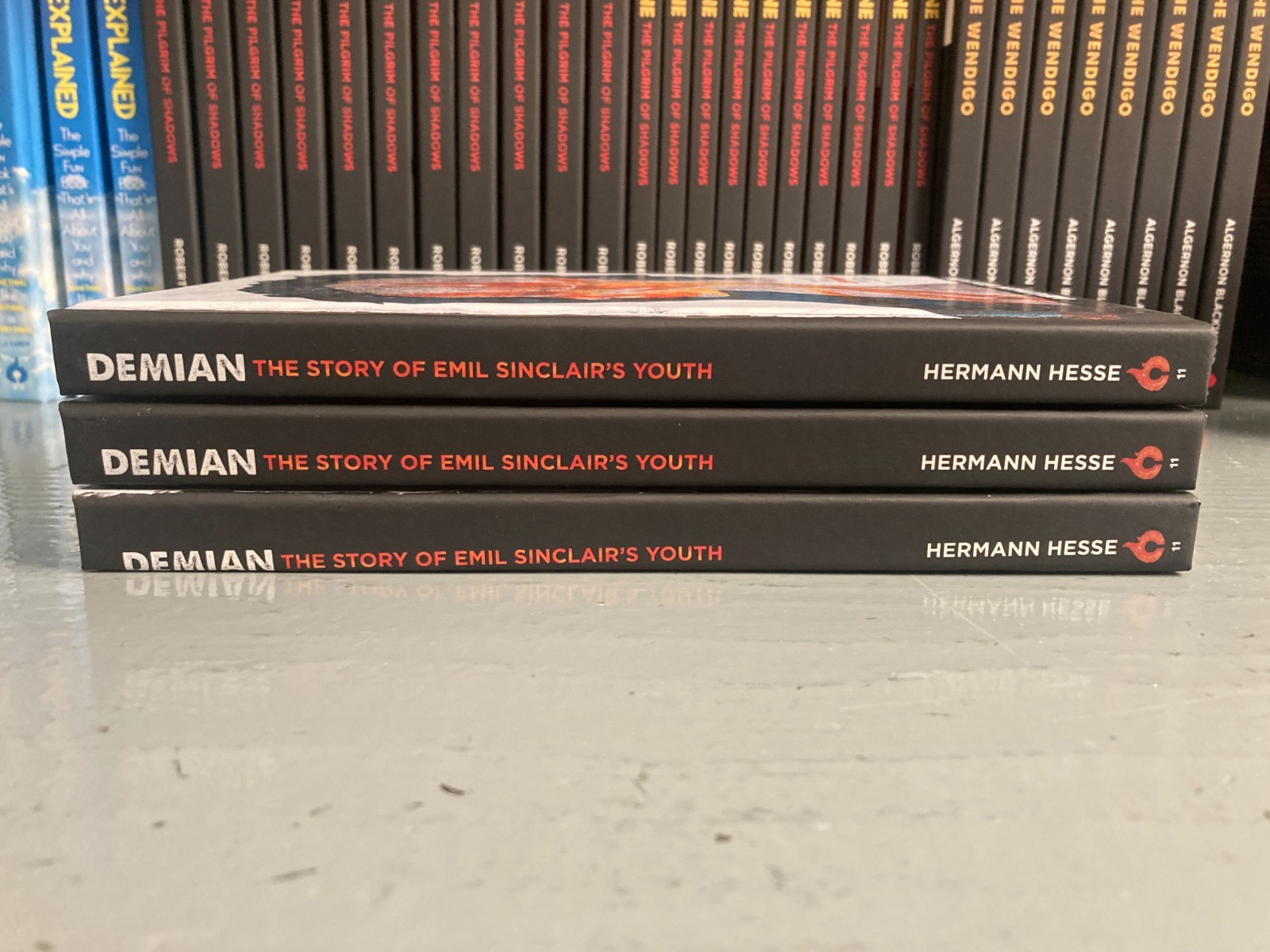 Demian by Hermann Hesse (Heathen Edition) Hardcover MISPRINTED MISFIT