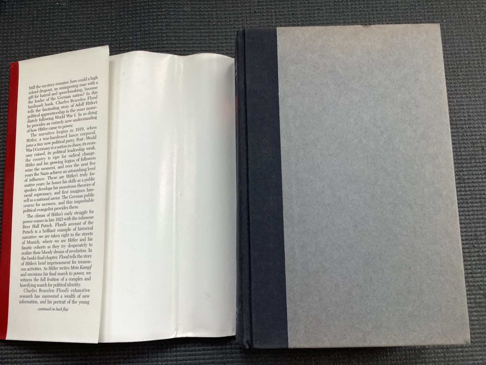 HITLER The Path to Power Hardcover with Dust Jacket 1989 HARDCOVER WORLD WAR II