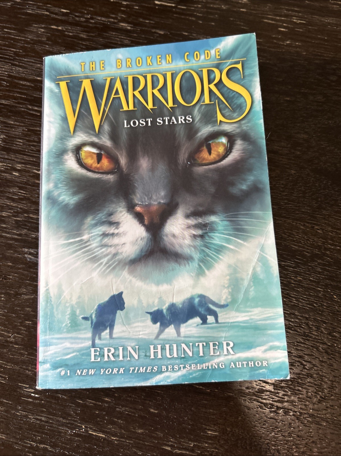 Warriors Cat Book Lot By Erin Hunter + Warrior Cat Bag Bluestar’s Prophecy