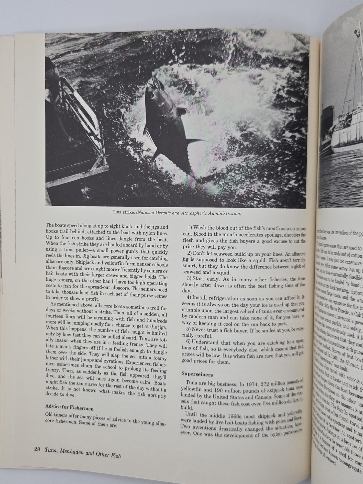 The World of the Small Commercial Fisherman Michael Meltzer 1980 Fishing Boats