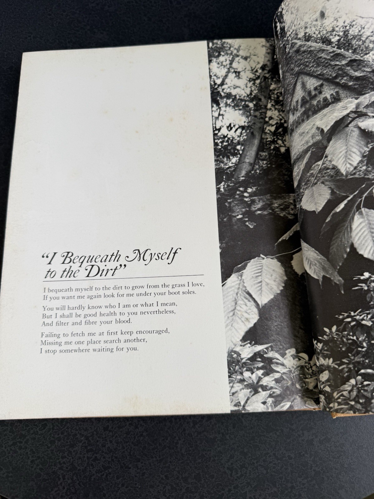 The Illustrated Leaves of Grass Walt Whitman (Hardcover, 1971)
