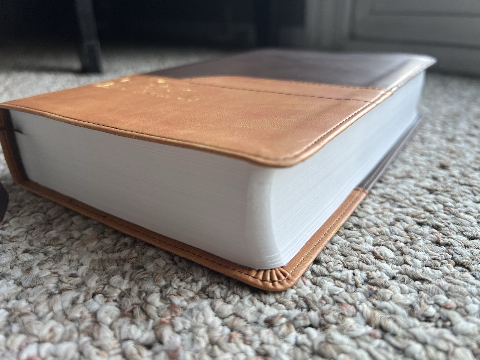 ⭐️Zondervan NIV Large Print Bible-Holy Bible-Leathersoft-Italian Duotone-2011⭐️
