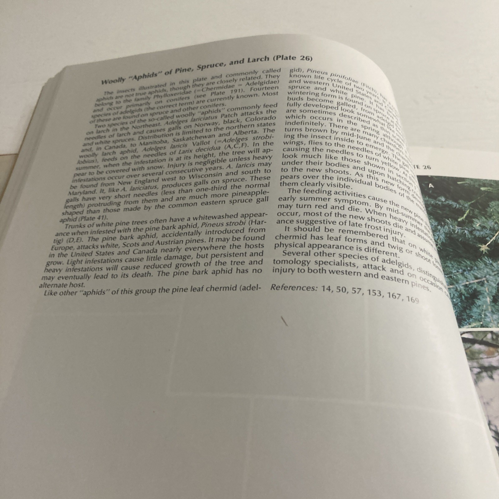 Insects That Feed On Trees and Shrubs by Warren Johnson + Howard H. Lyon HC/DJ