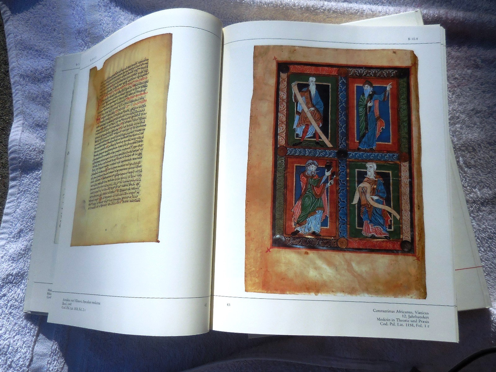 Bibliotheca Palatina Heidelberg EXHIBITION CATALOG 1985 Illuminated Manuscripts