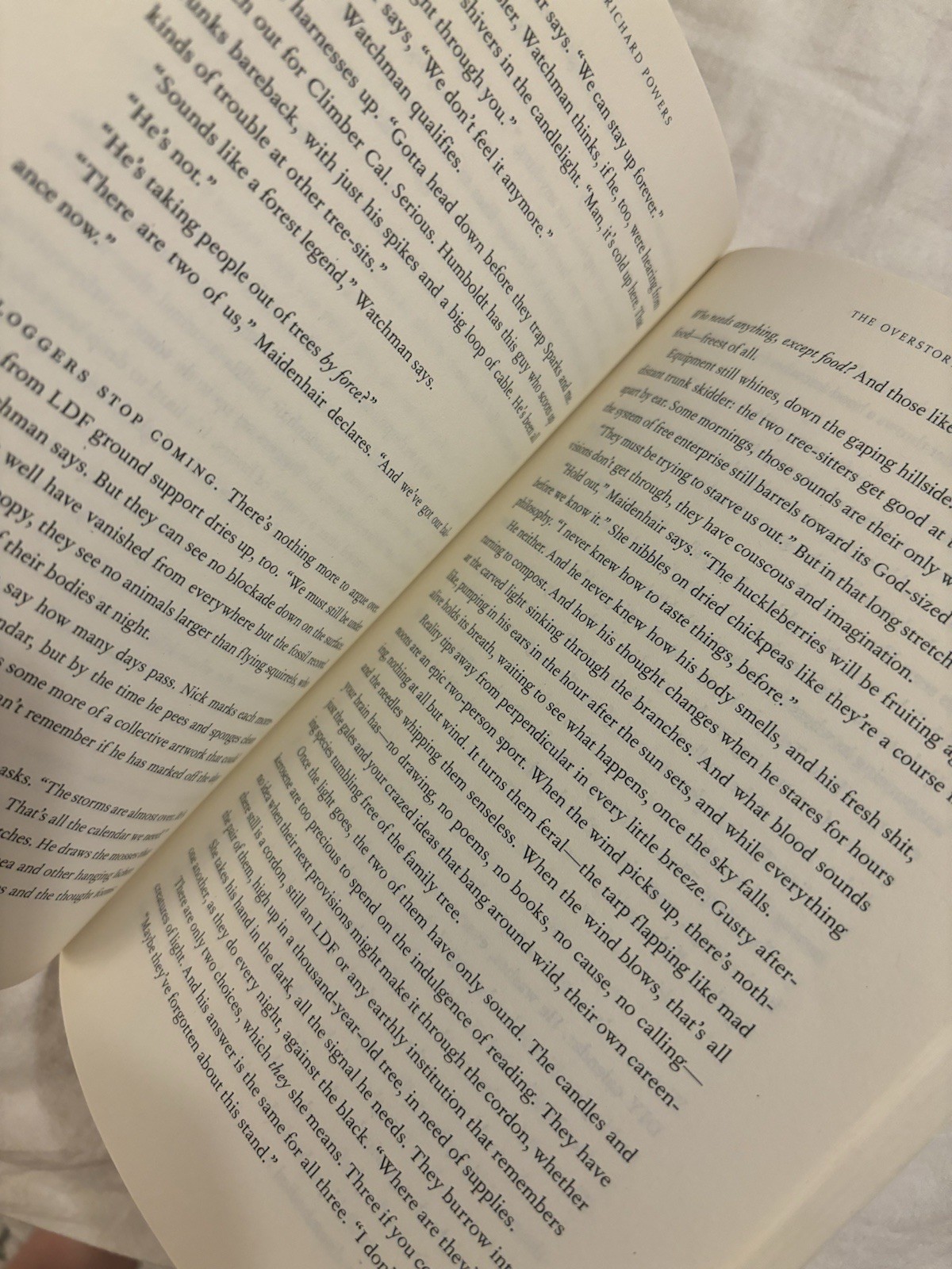 Overstory : A Novel by Richard Powers (2019, Trade Paperback) – Good