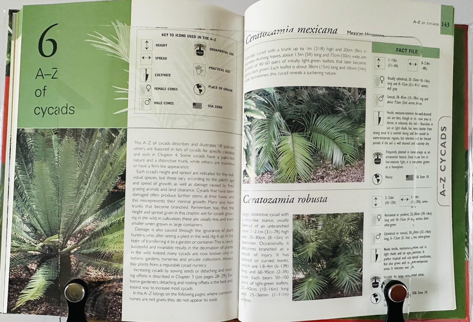 Palms And Cycads: A Guide To Selecting, Growing & Propagating David Squire New