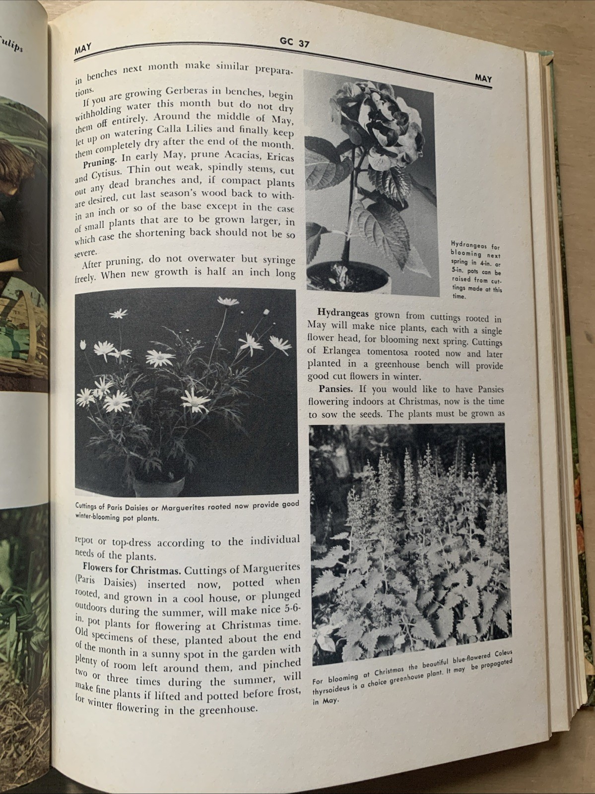 1967 Vintage Illustrated Encyclopedia Of Gardening Edited By:T .H. Everett Vol 1