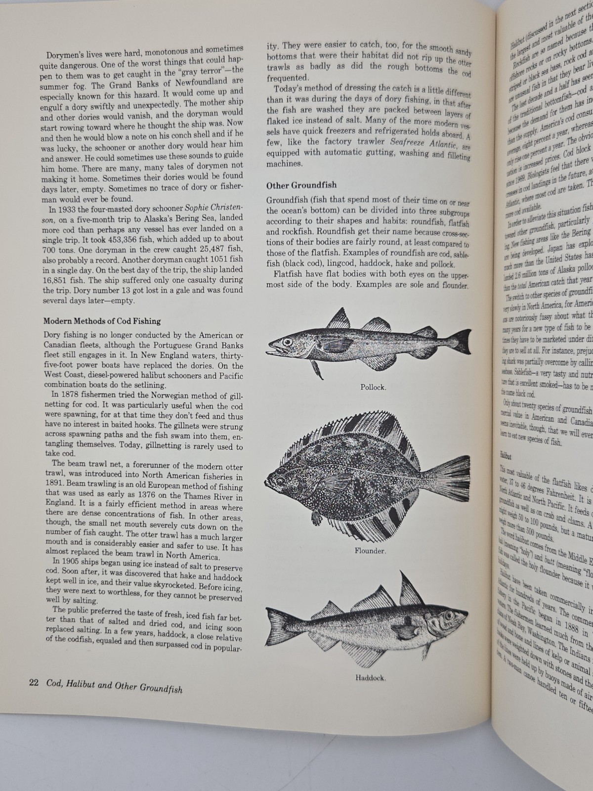 The World of the Small Commercial Fisherman Michael Meltzer 1980 Fishing Boats