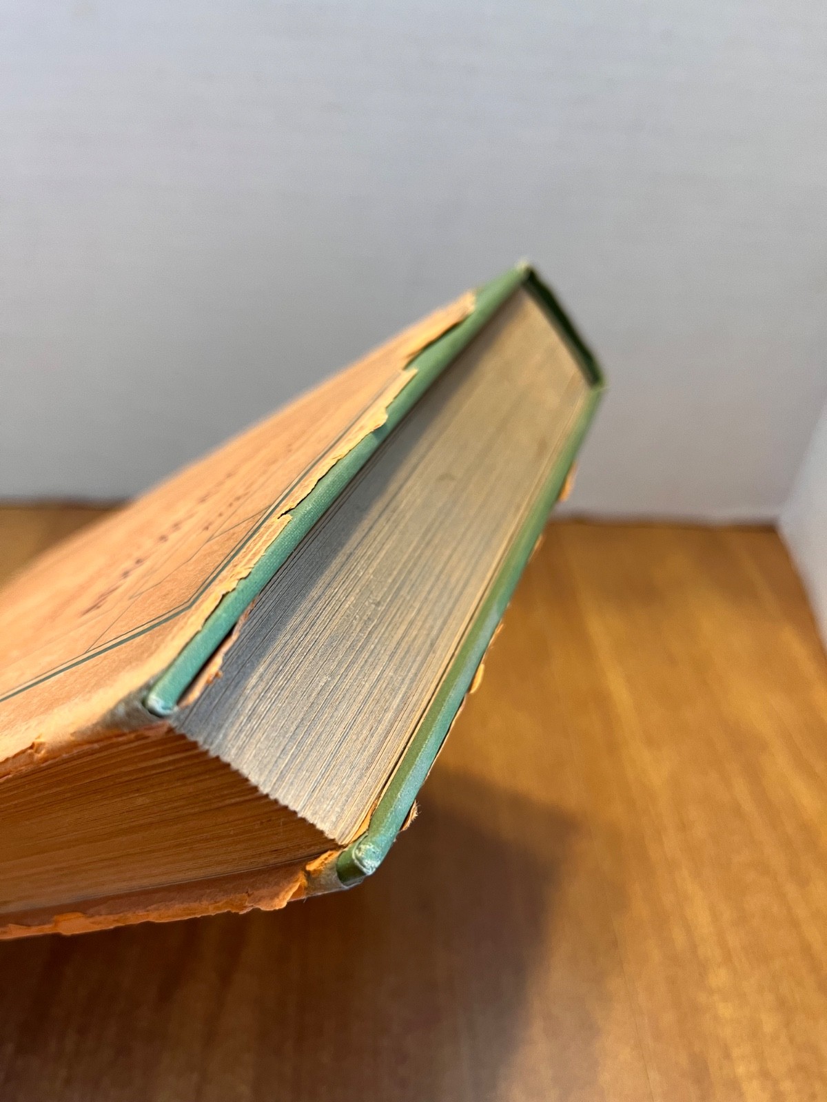 Trader Horn 2nd Volume 1928 Hardcover W/Dust Jacket 1st Edition
