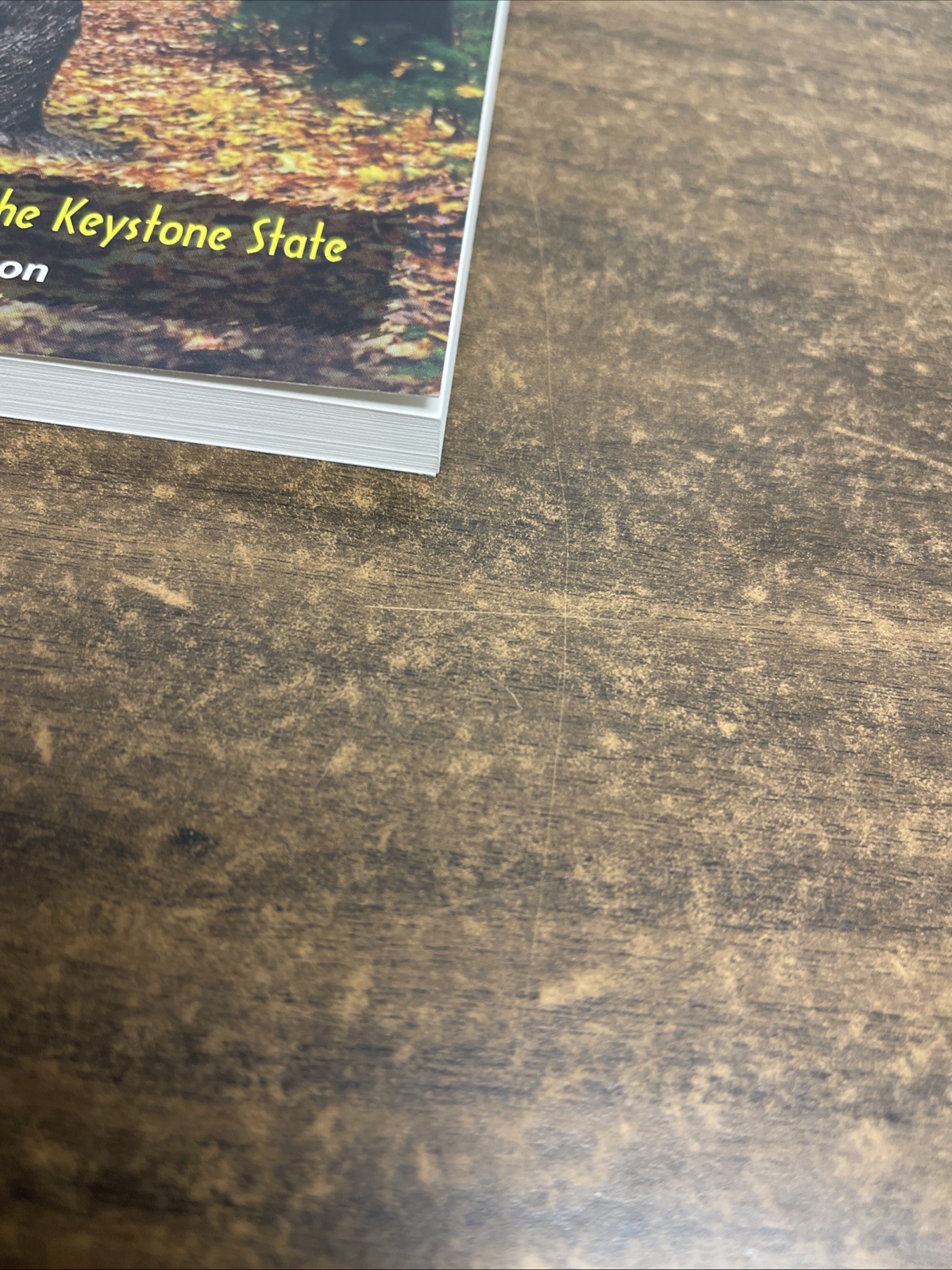 Monsters of Pennsylvania: Mysterious Creatures in the Keystone State