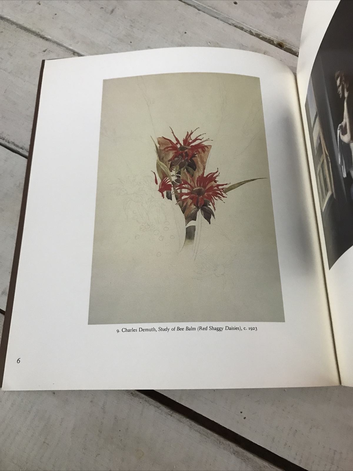 Lawrence H Bloedel Collection Rick Stewart Art Collection Paperback