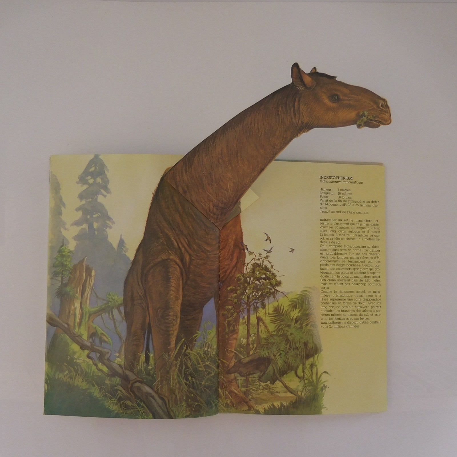 4 Lbs The Secret Life Of Beasts DINOSAURS THE GIANTS OF OUR PLANET 1979-90