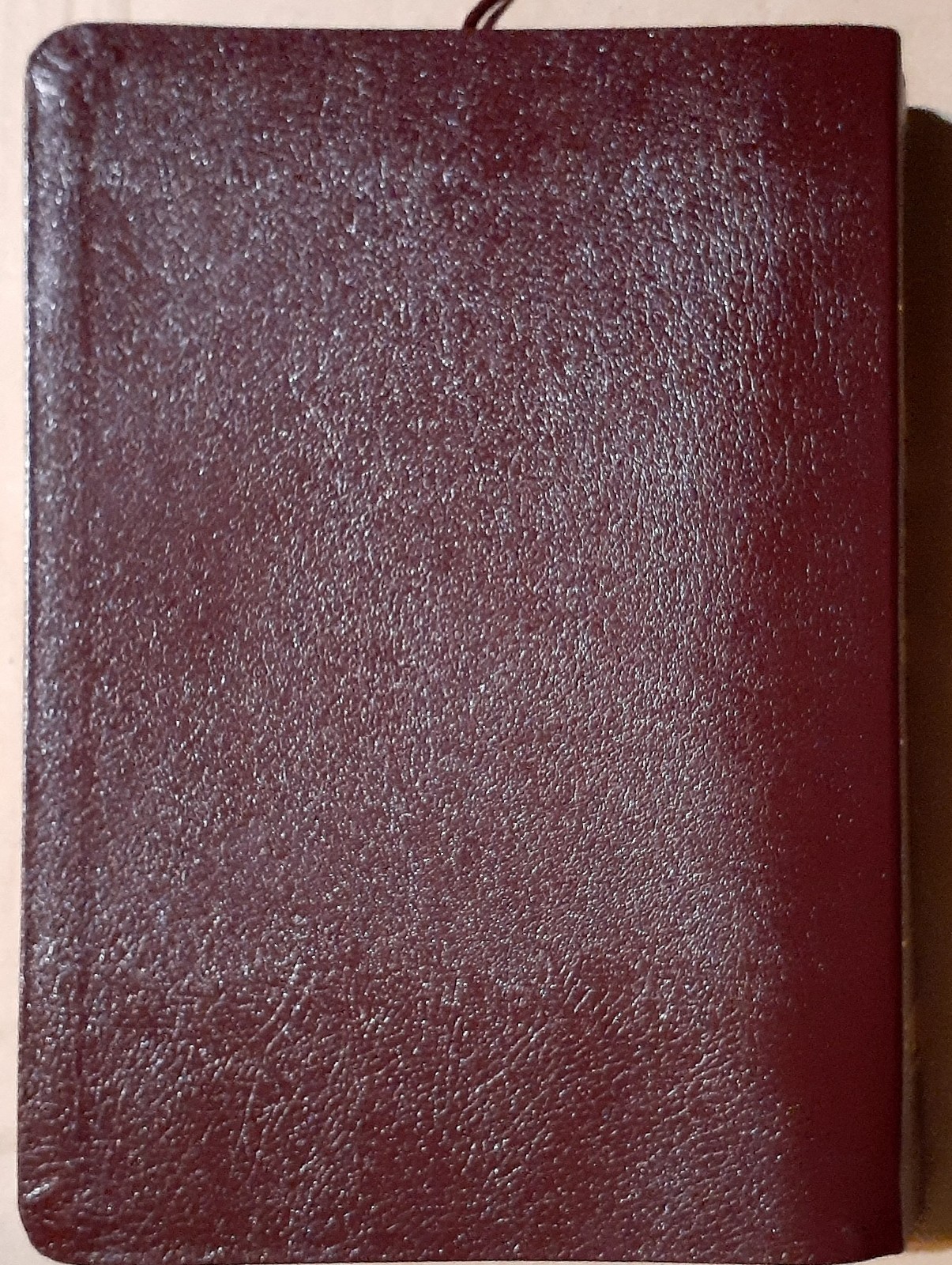 2006 Amplified Everyday Life Bible Joyce Meyer Leather Clean W/Pink Cover Case