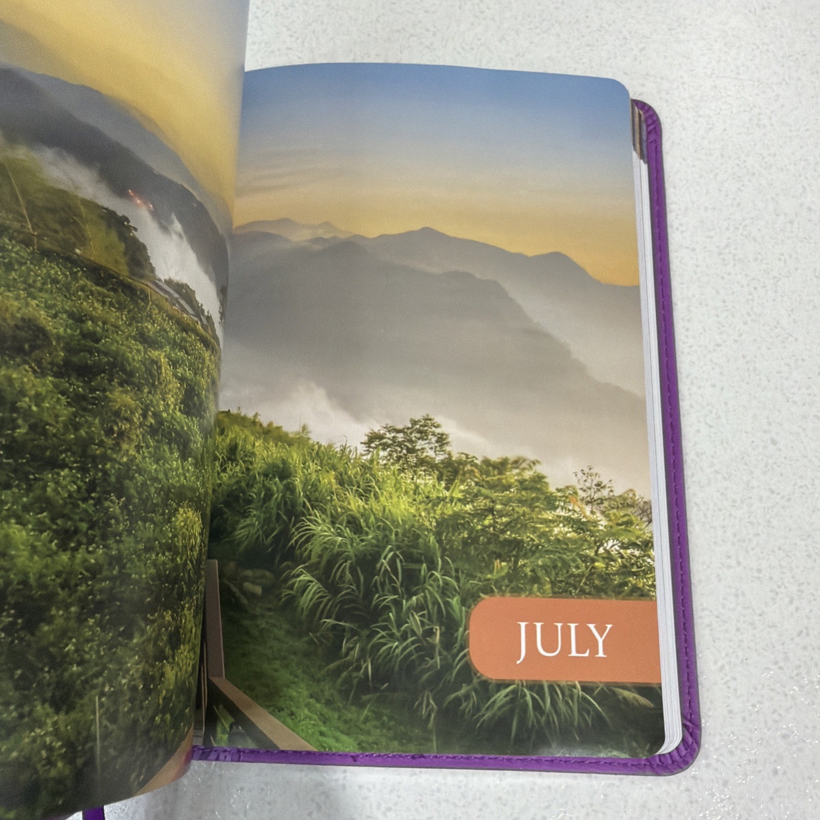 A Closer Walk with Jesus by David Jeremiah – 2025 Purple Faux Leather