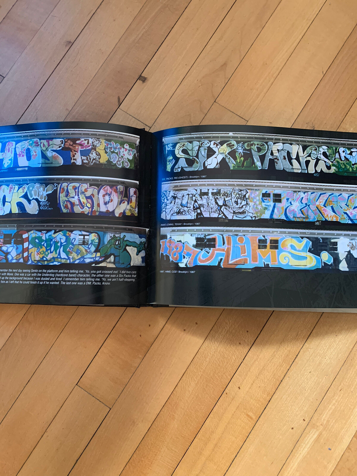 Sento TFP On The Run Book Graffiti New York City
