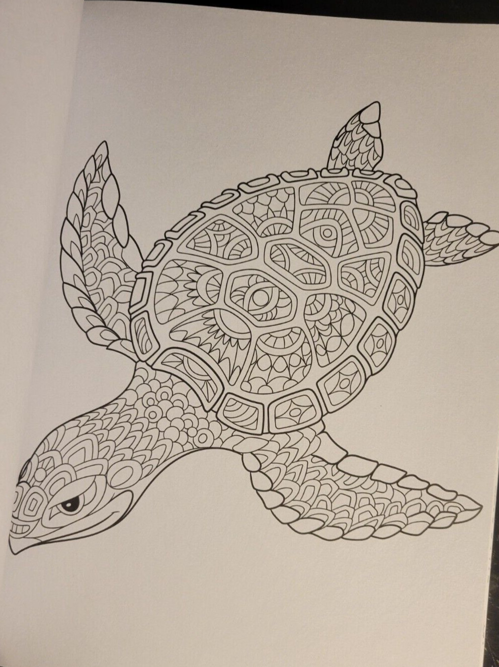 COLOR ME MAGNIFICENT Vol 10 – Adult Coloring Book by TOPIX MEDIA – 47 PRINTS