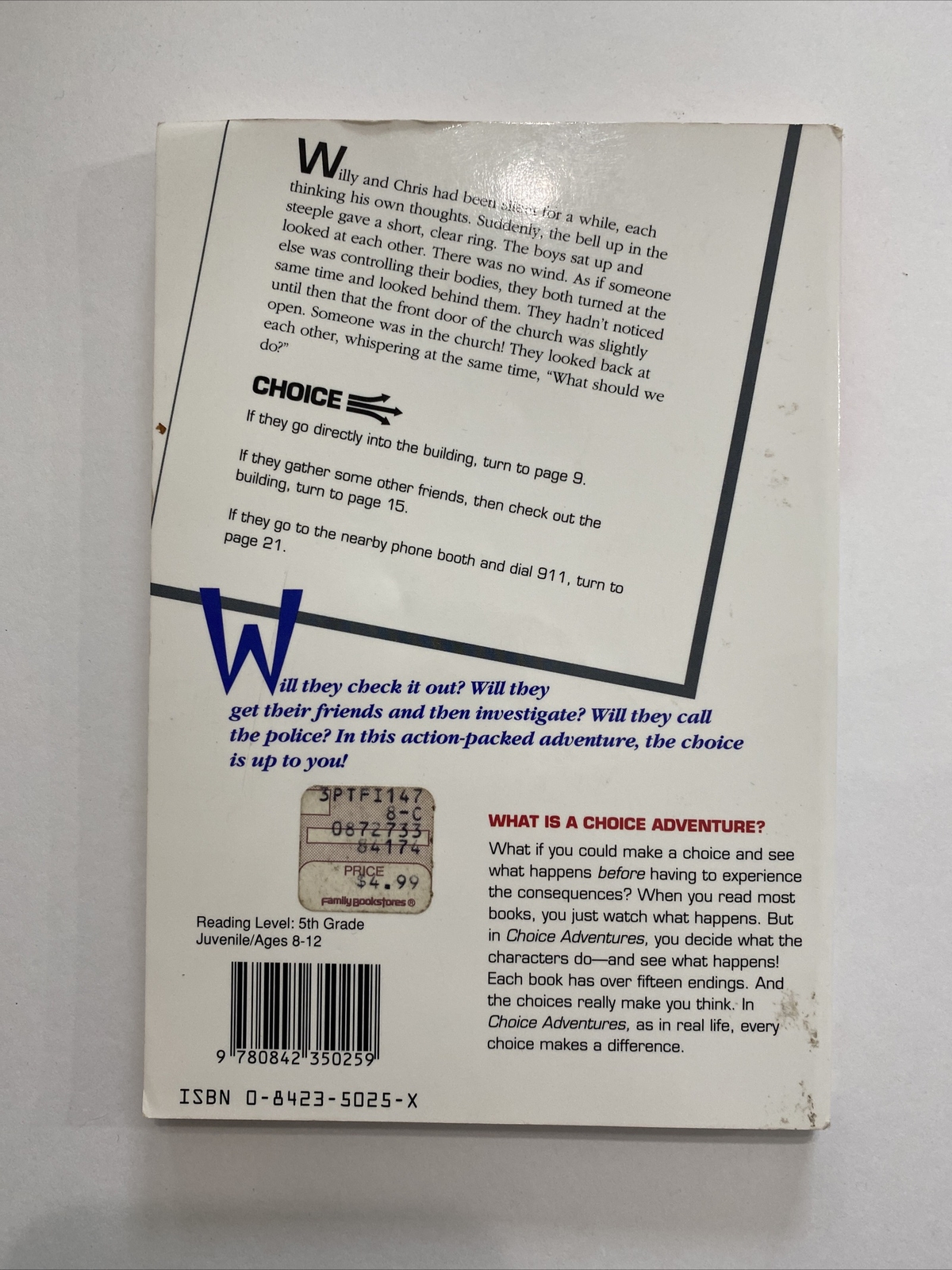 The Mysterious Old Church (Choice Adventures Series #1) by Neil S. Wilson 1991