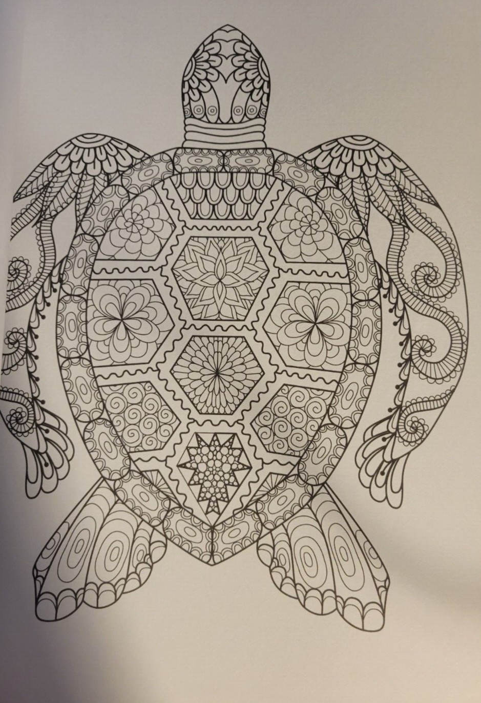 MAGNIFICENT CREATURES Vol 20 – Adult Coloring Book by TOPIX MEDIA – 47 PRINTS