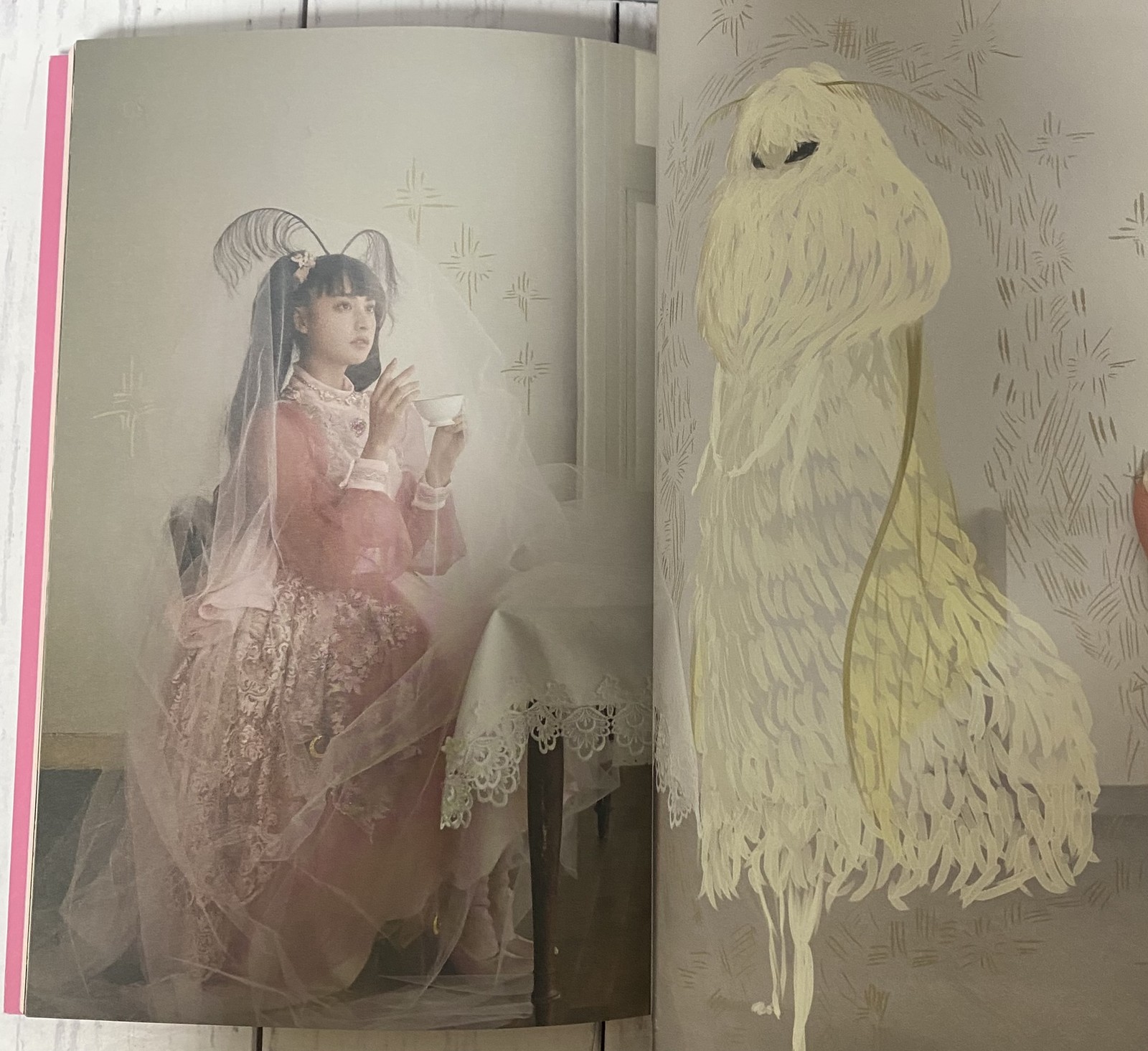 Magical Girl Mizuki Yamamoto Photobook Regular Edition Japan