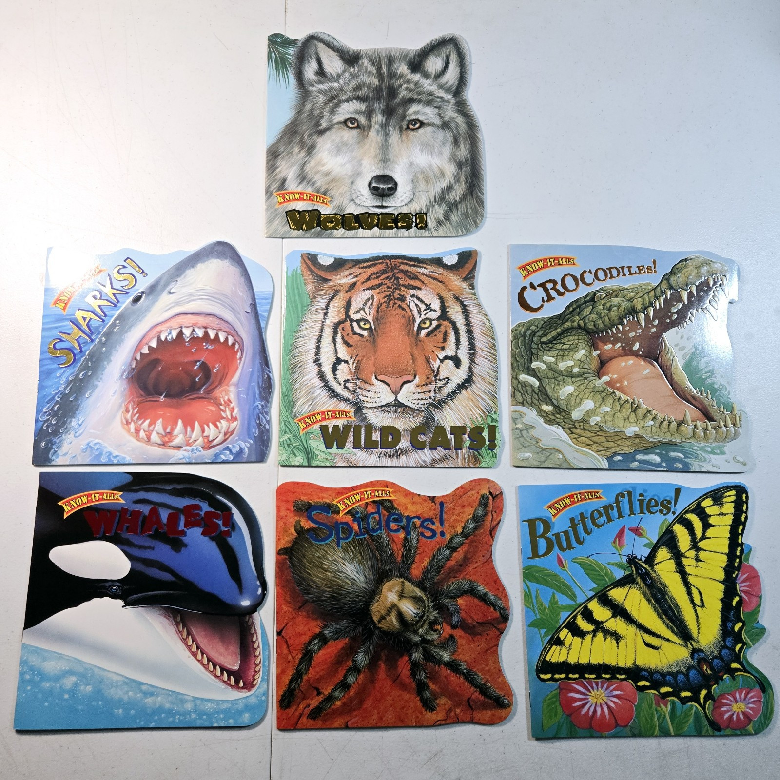 Lot Of 7 Bendon Publishing Know-It-Alls Kids Animal Books