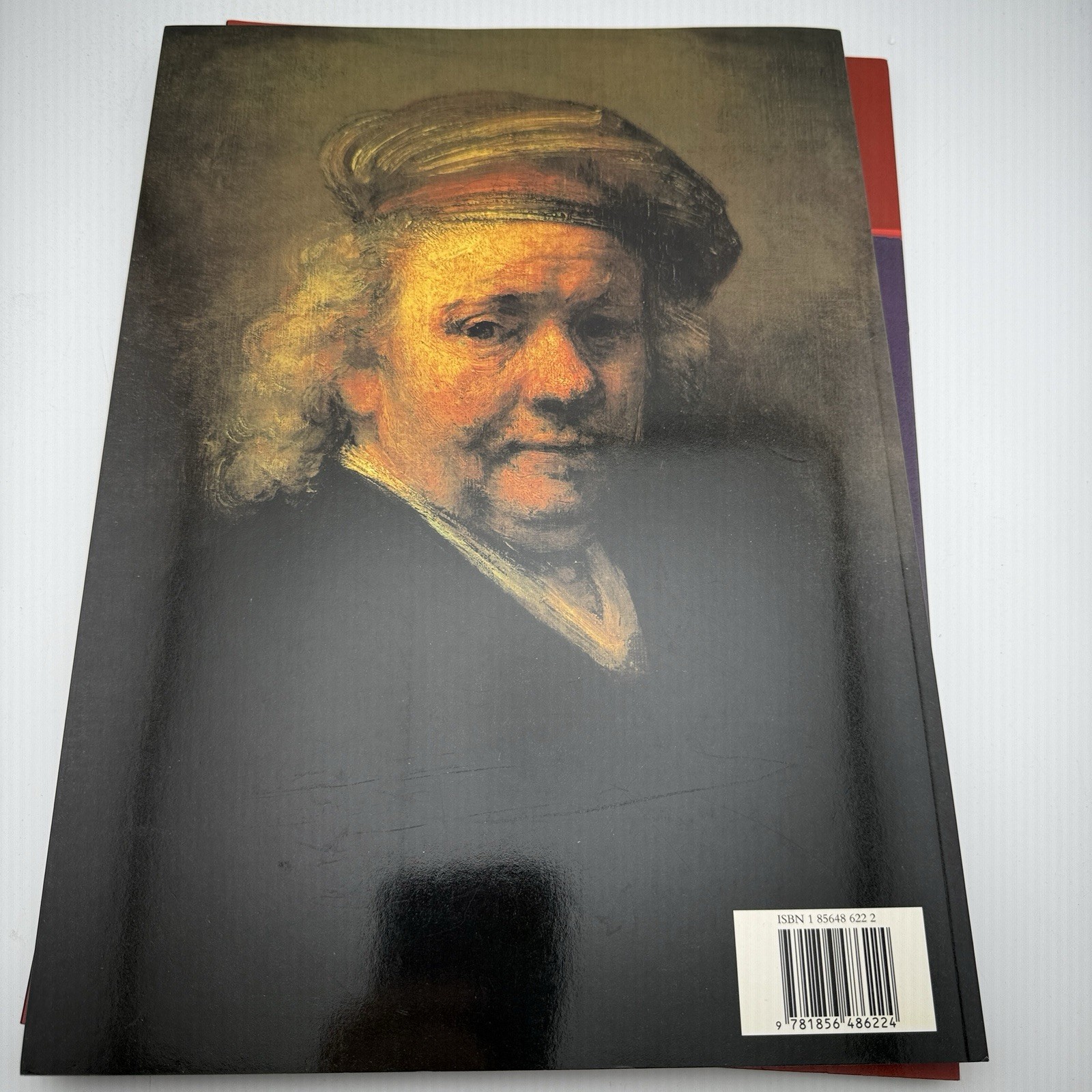 Coffee Table Artist Books PB 6ea Picasso Rembrandt Van Gogh Dali Leonardo Michae
