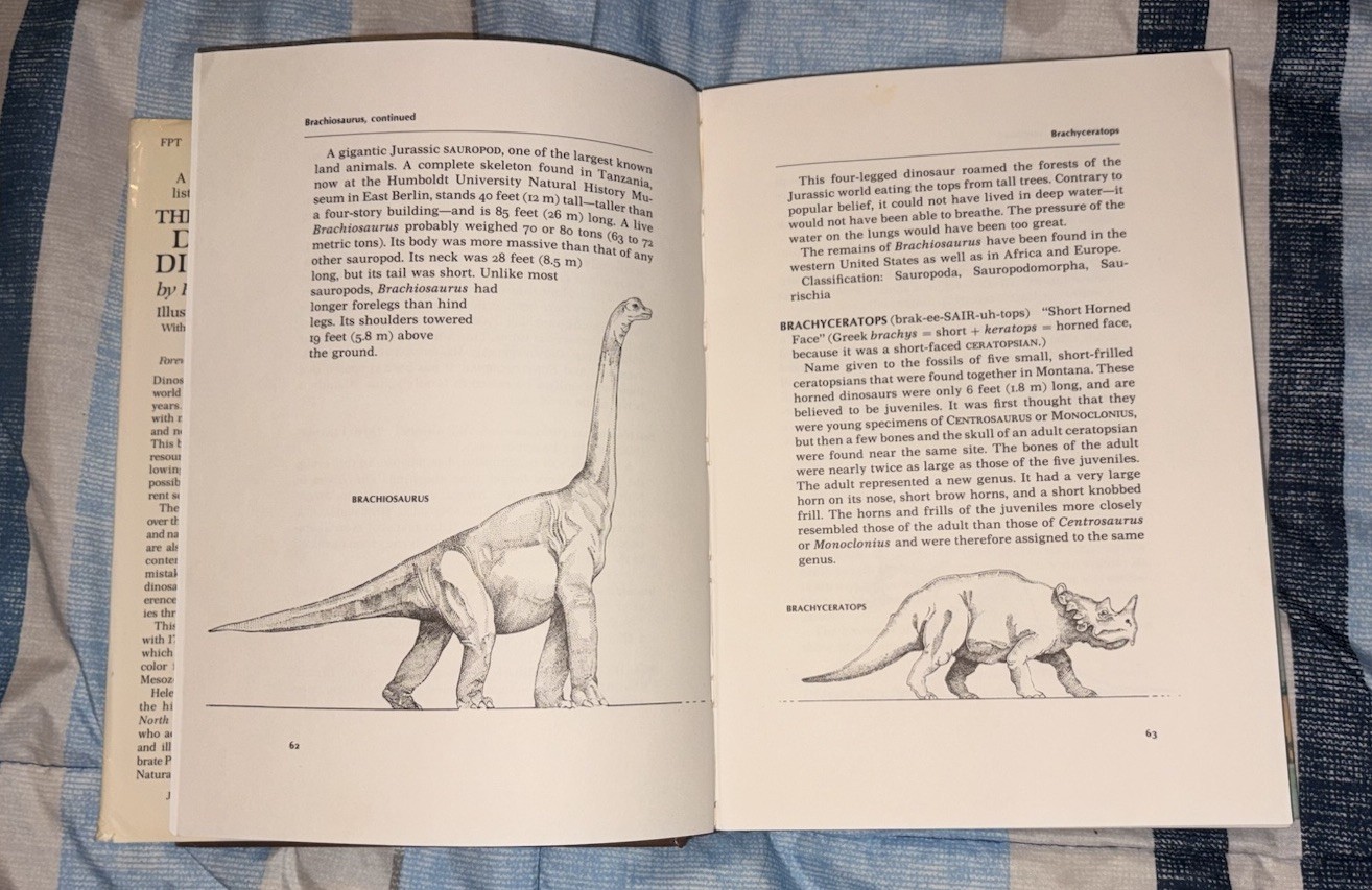 🔥Vintage 1983 The Illustrated Dinosaur Dictionary Helen Roney Sattler Hardcover
