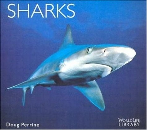 Sharks (World Life Library)