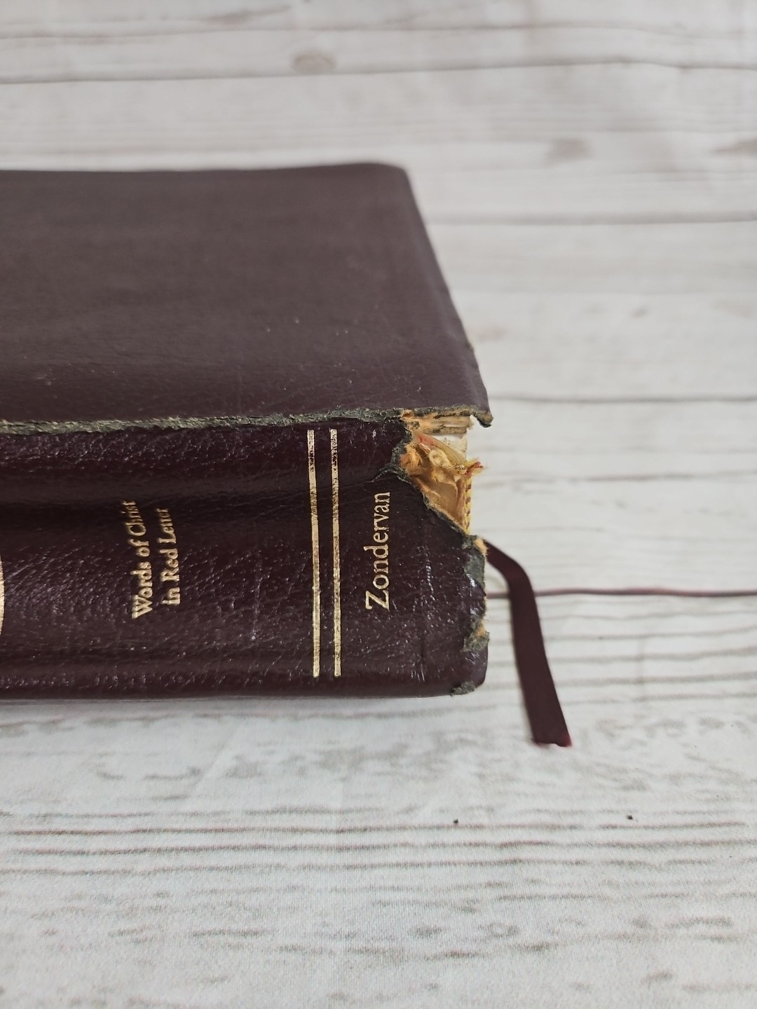 The NIV Study Bible 10th Anniversary Edition Bonded Leather Burgundy 2000