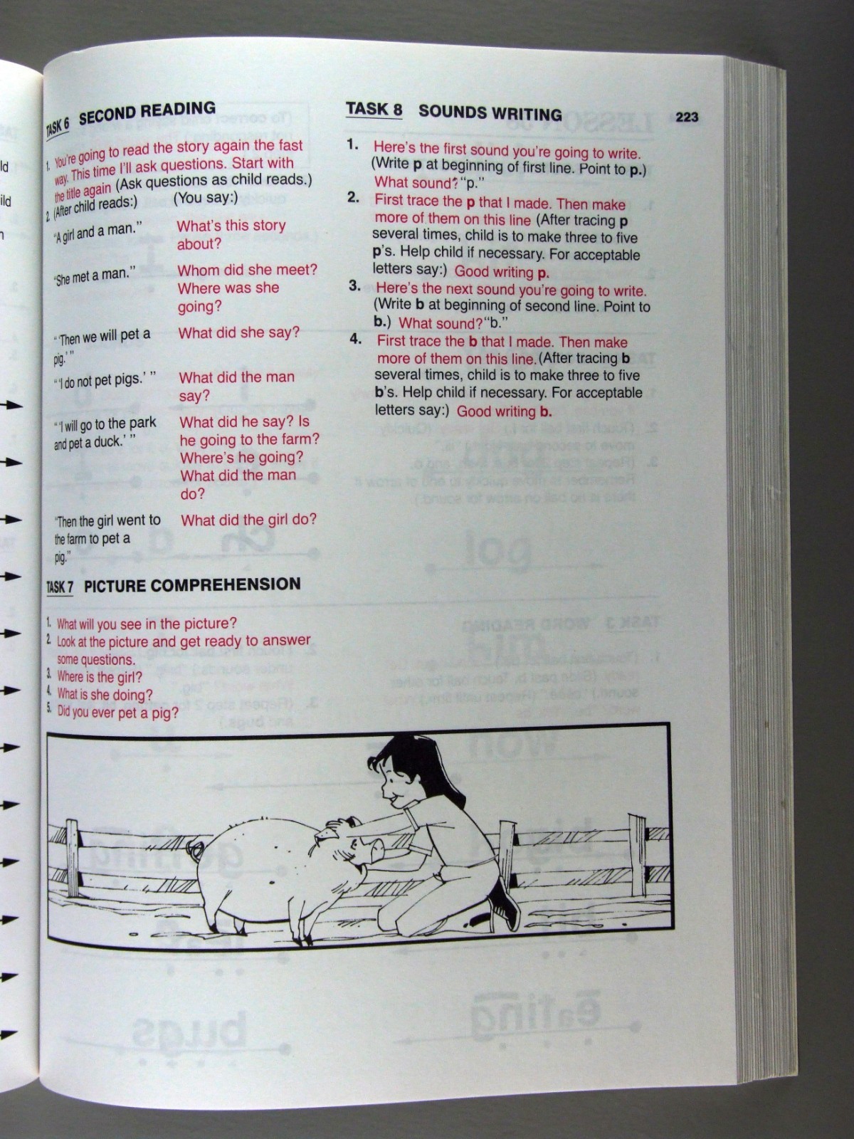 Teach Your Child to Read in 100 Easy Lessons by Siegfried Engelman Haddox Bruner