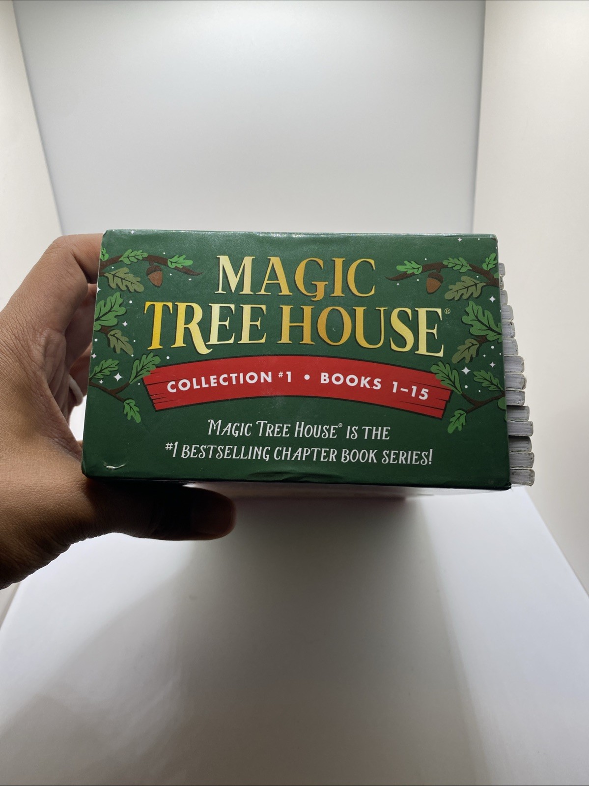 Magic Tree House Boxed Set, Books 1-15 Collection #1 Mary Pope Osborne