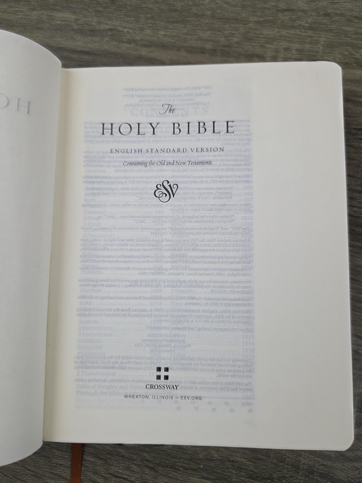 Holy Bible Crossway Decorative Hardcover Illustrated Lion Lamb ESV