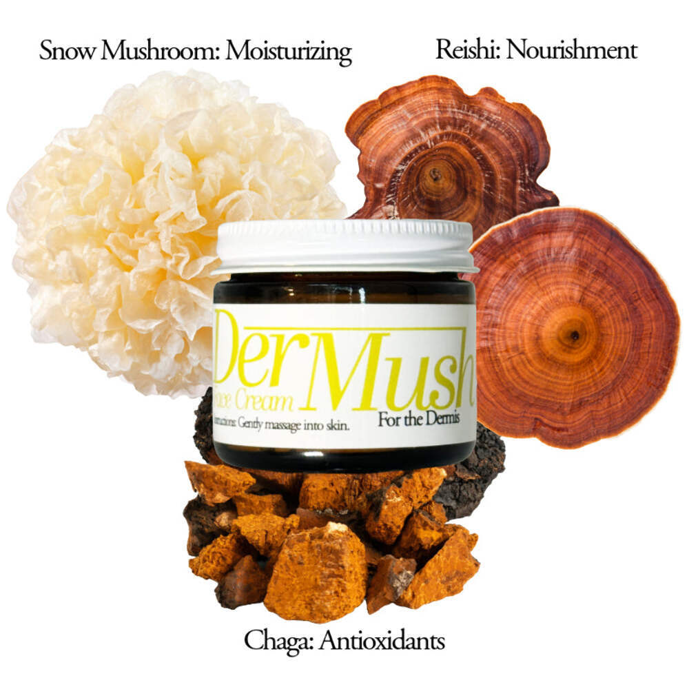 DerMush Face Cream 2 oz with Snow Mushroom, Reishi, Chaga