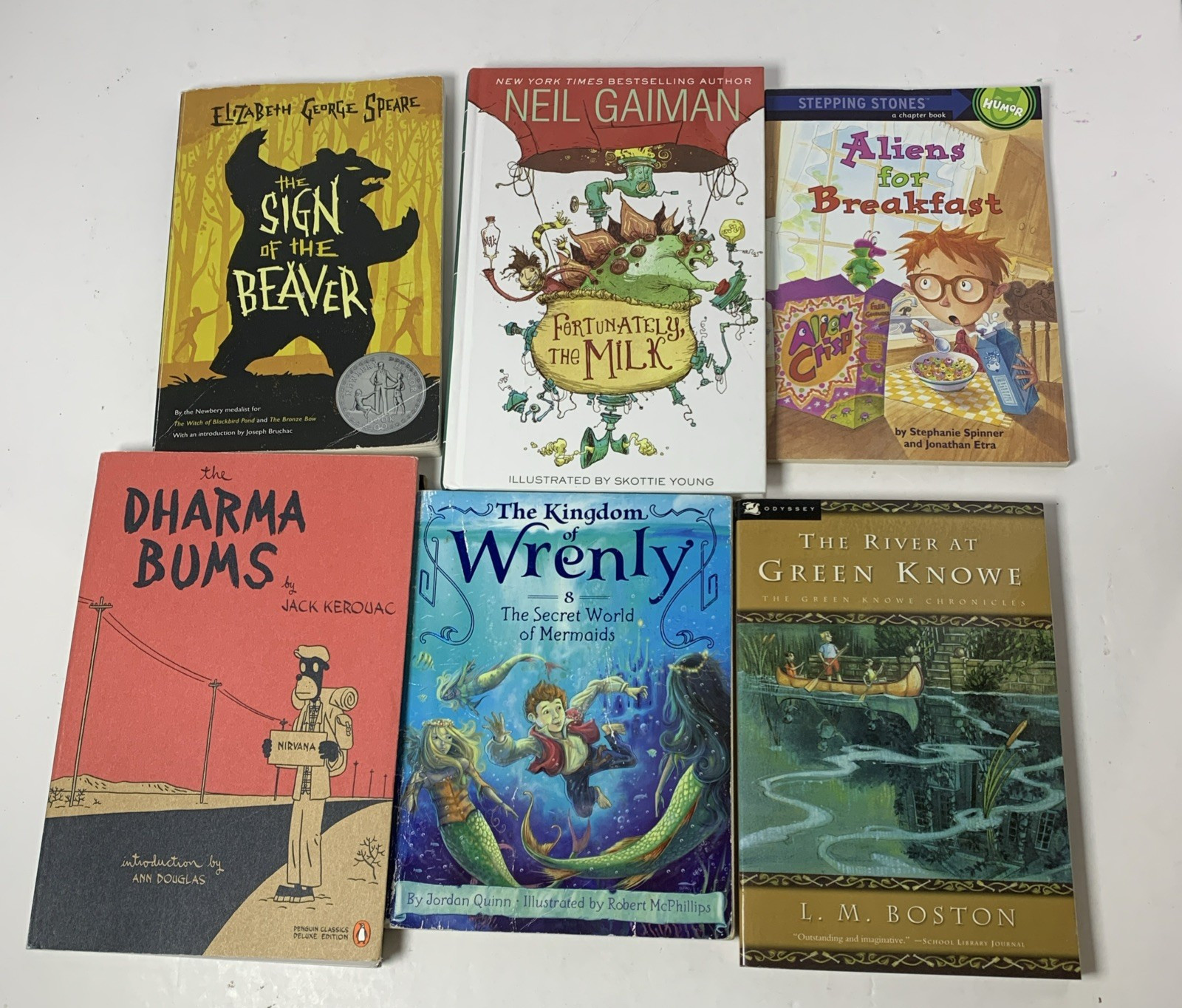 Boys Chapter Book Lot 30 Big Nate Encyclopedia Brown Aliens for Breakfast