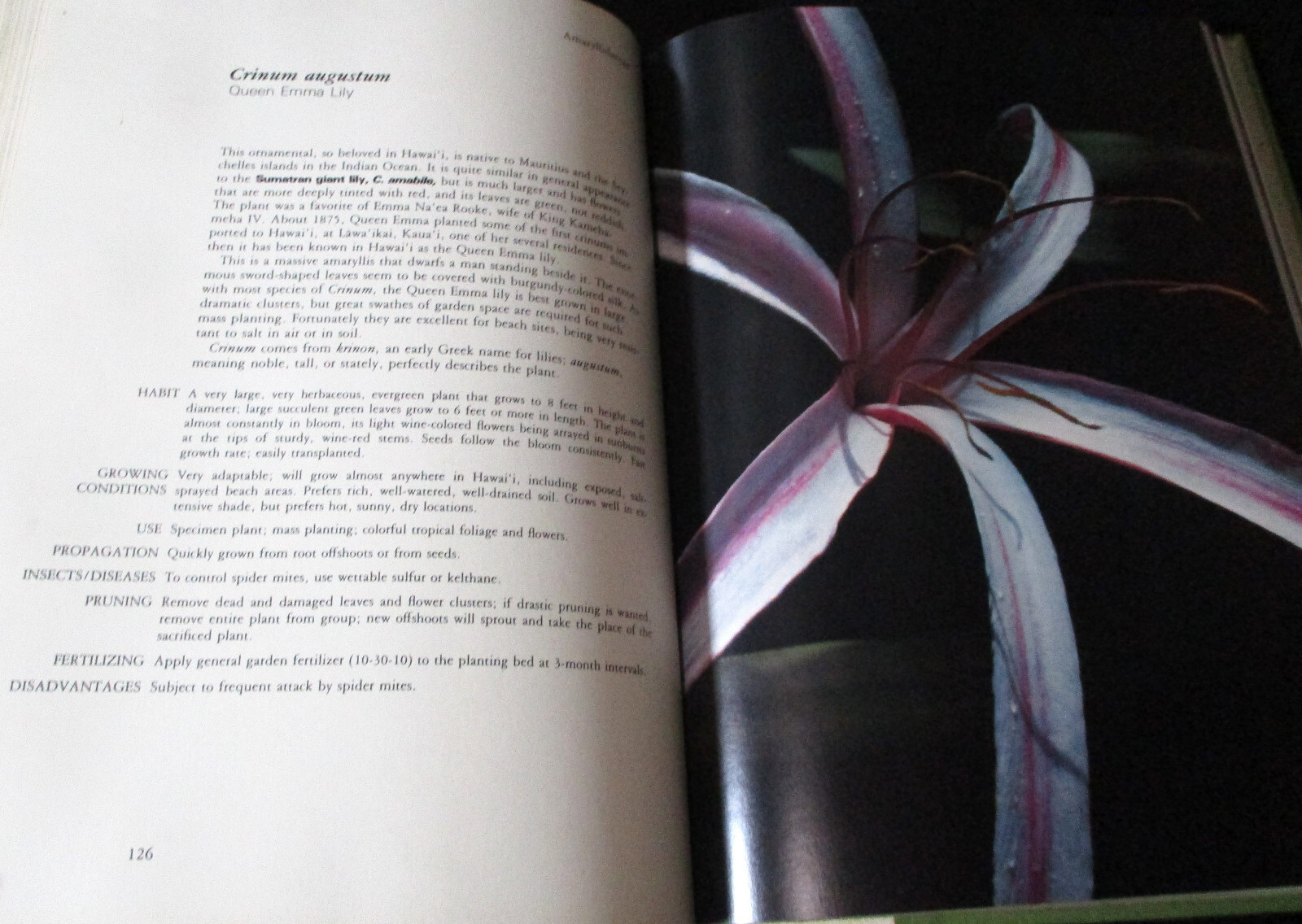 HAWAII GARDEN TROPICAL EXOTICS Horace Clay SIGNED HC 1ST 1977 Gardening Plants