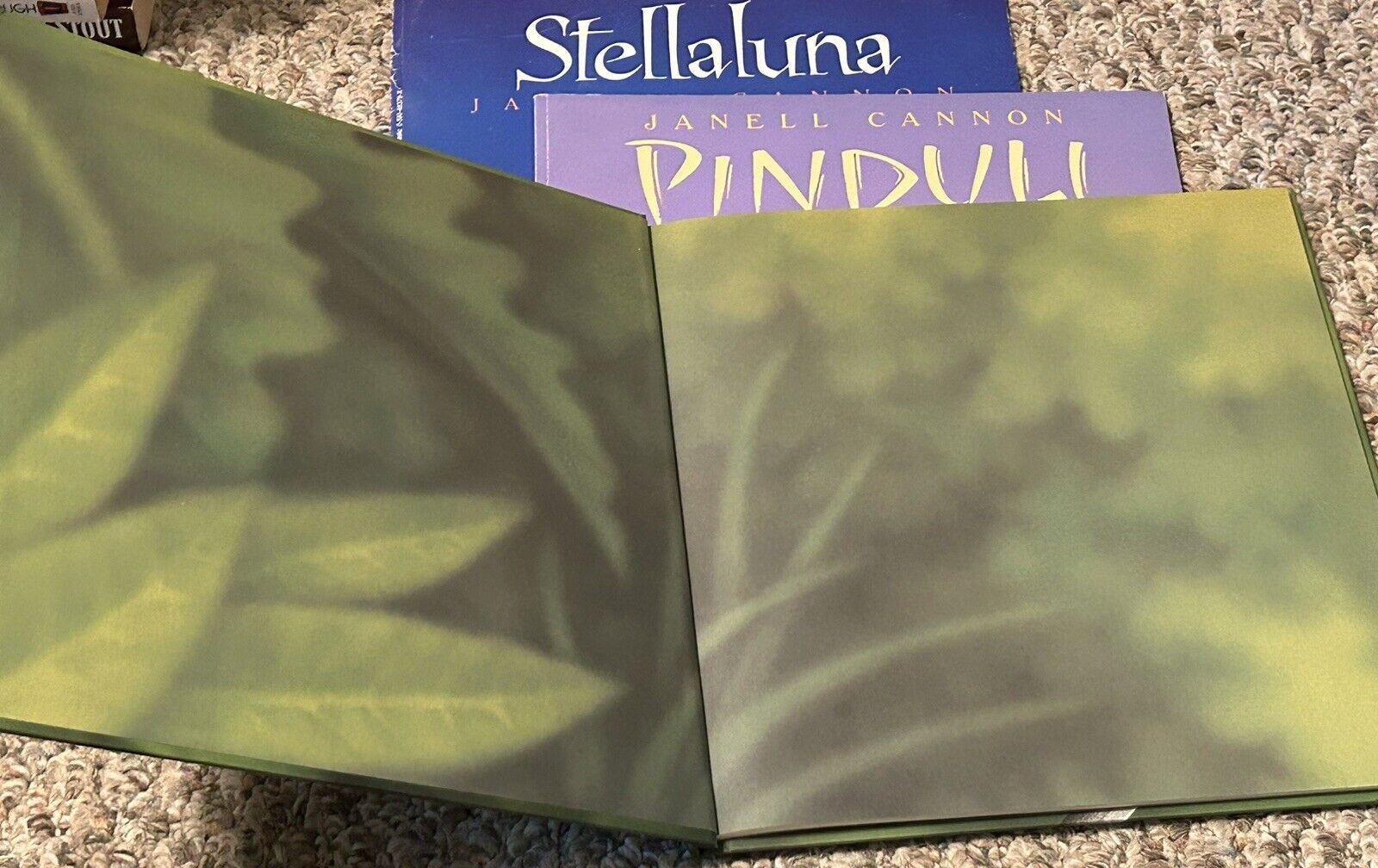 Set of 3 Janell Cannon Books Verdi HC Pinduli Stellaluna PB