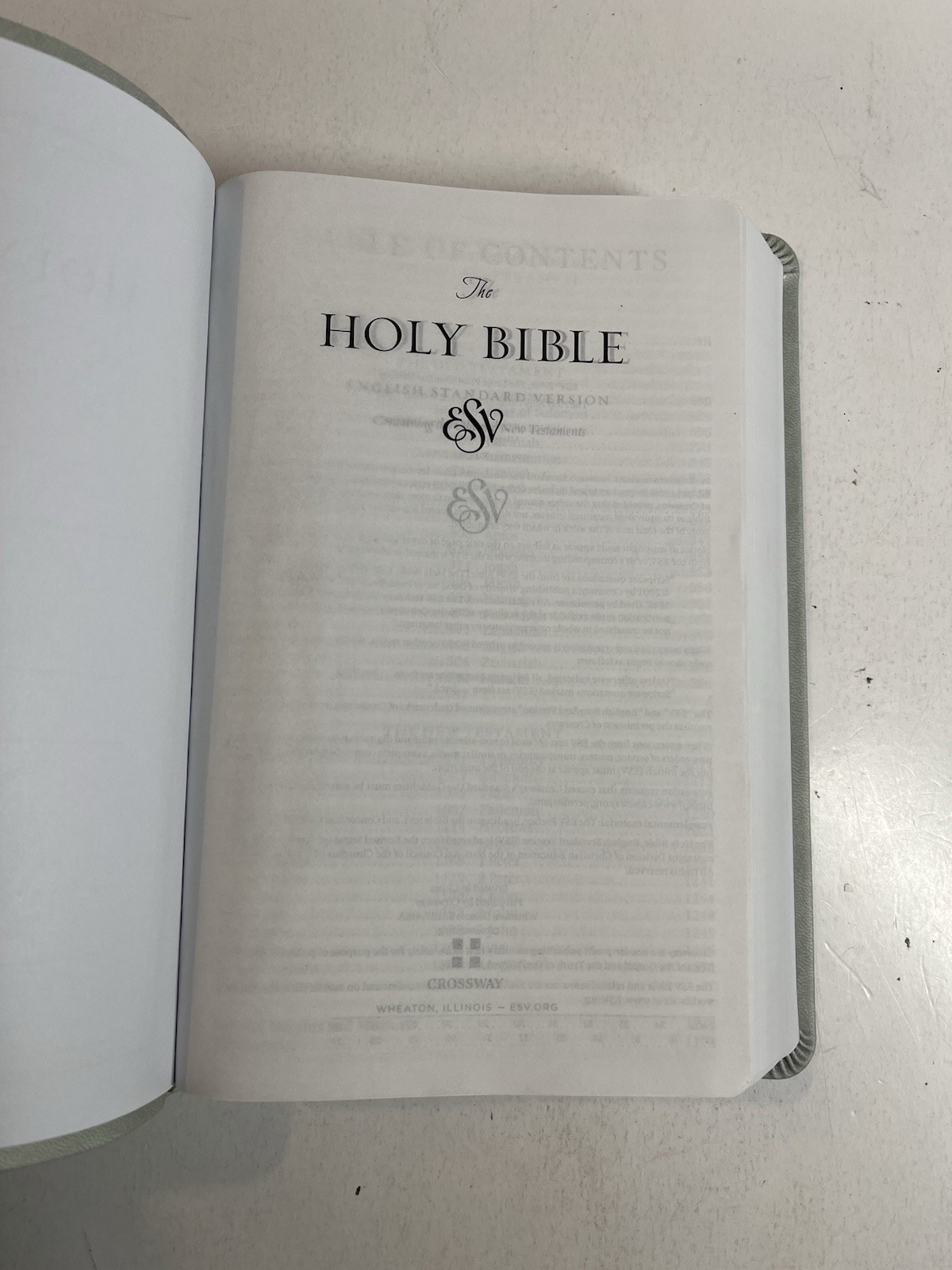 ESV Large Print Value Thinline Bible (Trutone, River Stone, Branch Design)