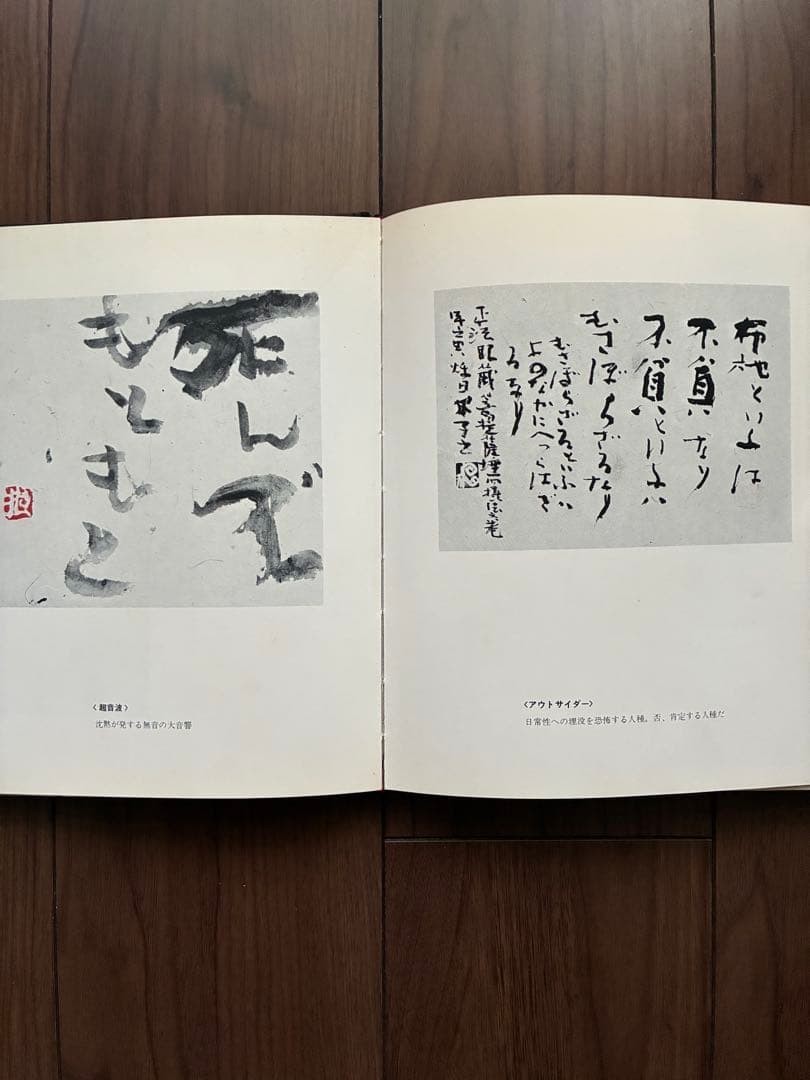Roko Arai Works Collection Limited 300 Art Book calligraphy 24.5x21cm
