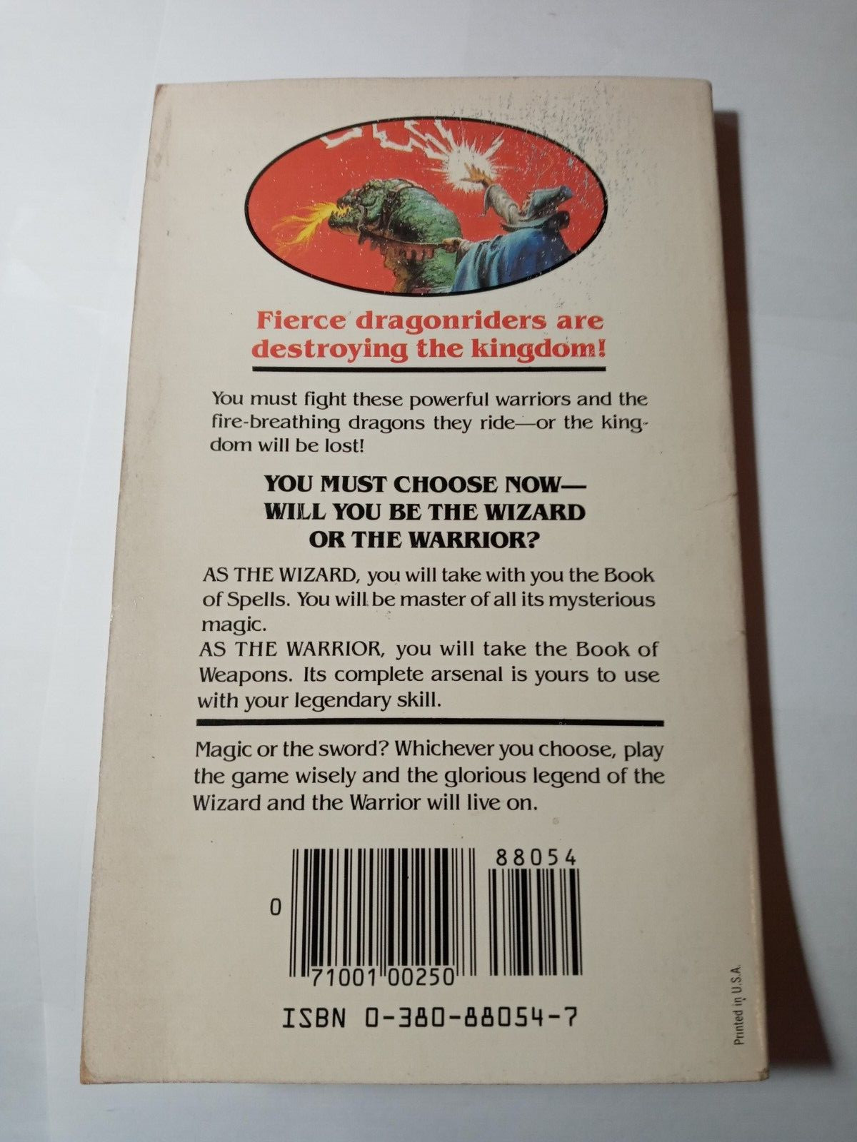 Wizards, Warriors & You -Book 2 – The Siege of the Dragonriders