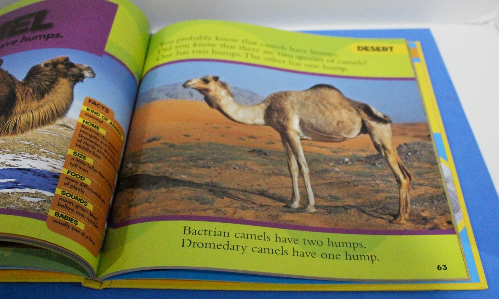 National Geographic Little Kids First Big Book of Animals by Catherine Hughes