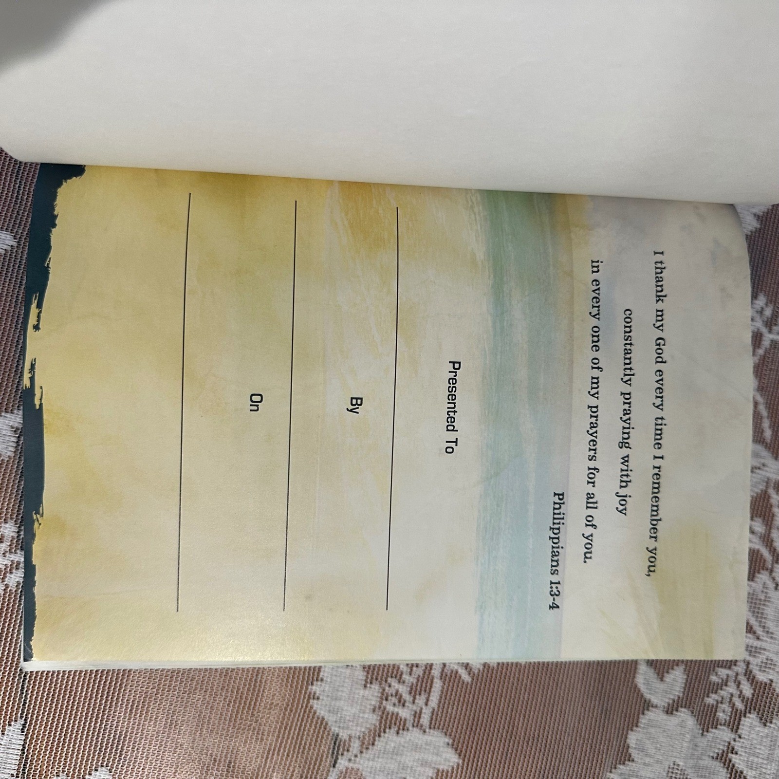 The Catholic Youth Bible Revised Edition New American Bible Saint Marys Press