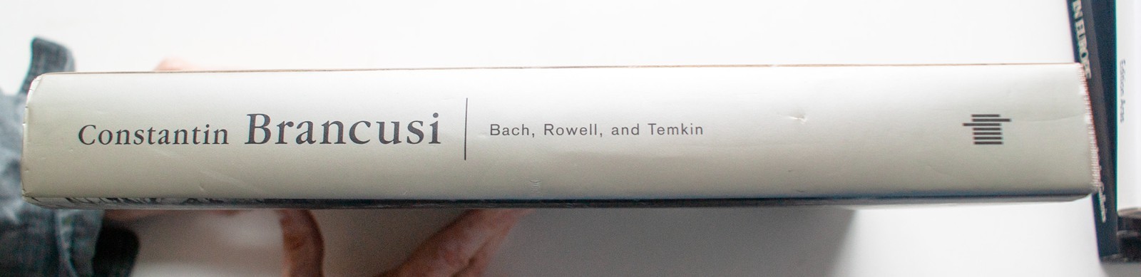 CONSTANTIN BRANCUSI Bach Rowell Temkin MIT Phil Mus. of Art HARDCOVER (Lot 167]