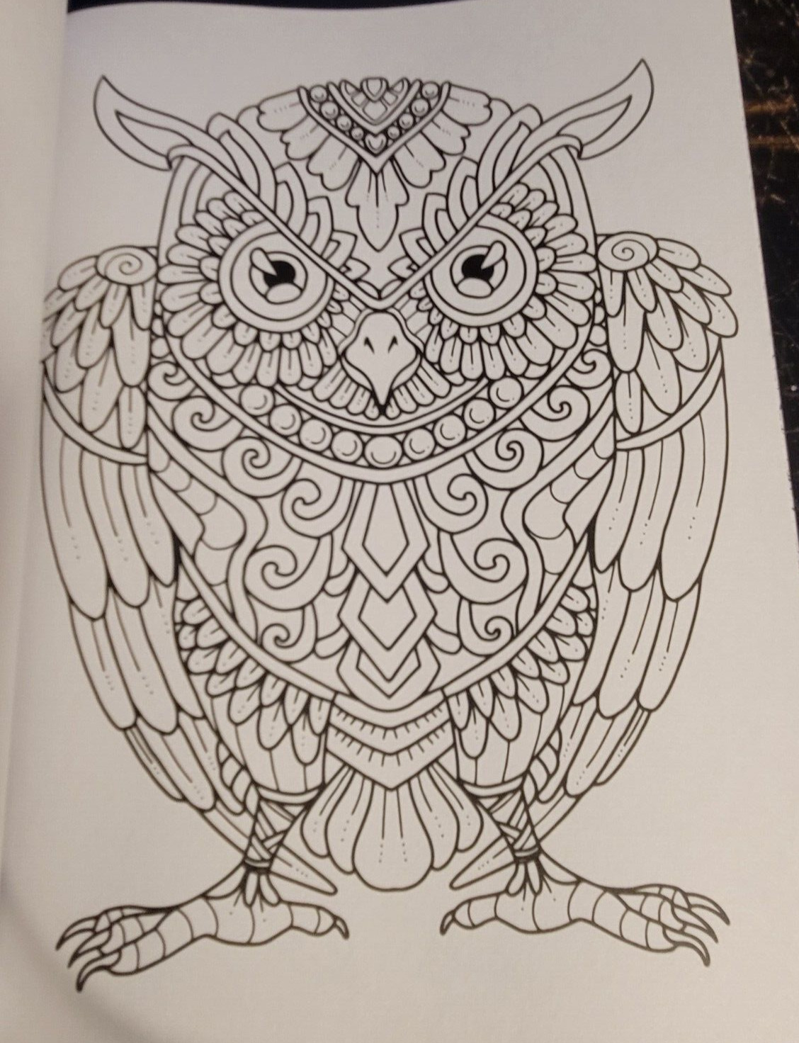 COLORS OF THE WILD Vol. 20 Adult Coloring Book With 47 Prints Ready To Frame!